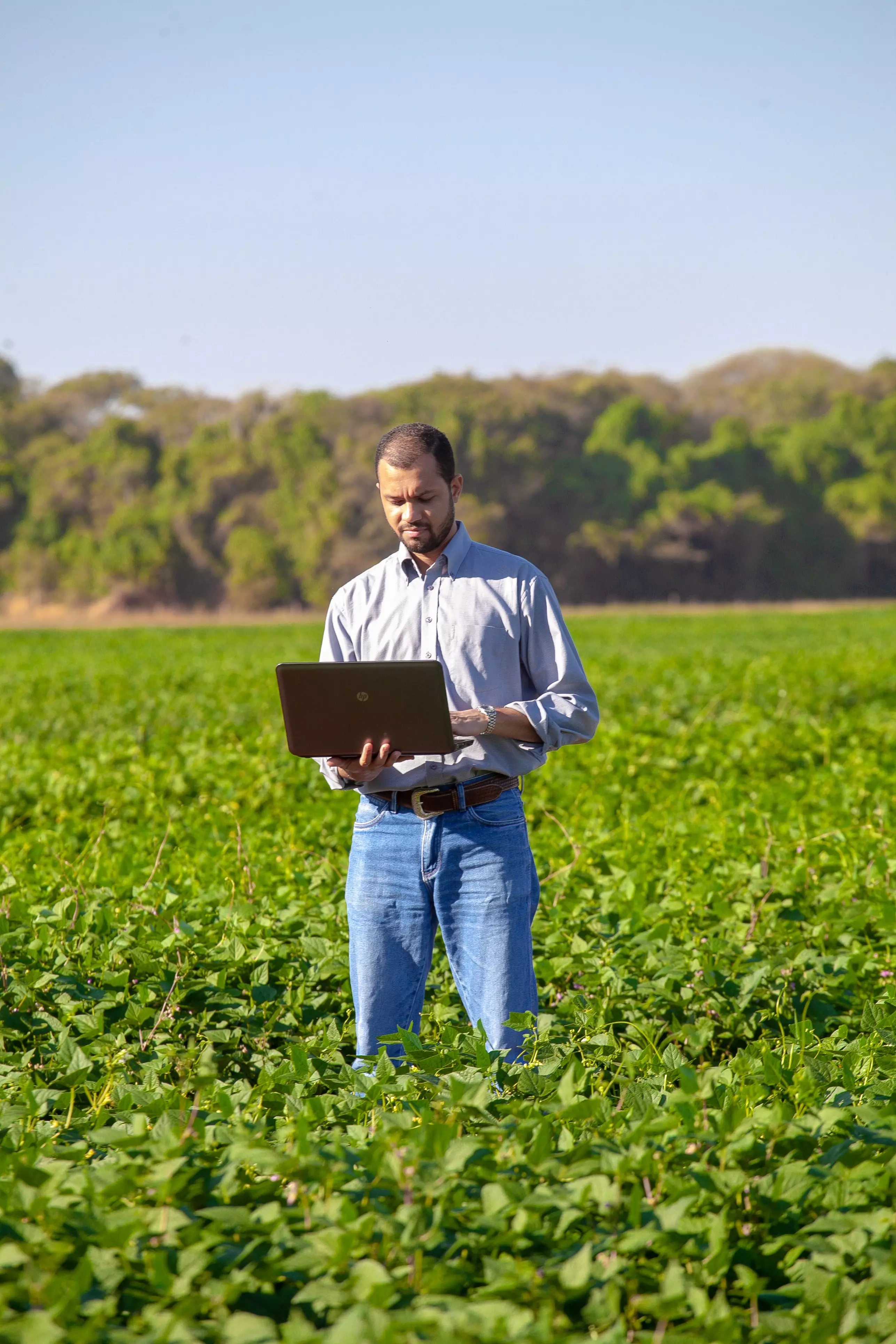 it service for landscaping companies